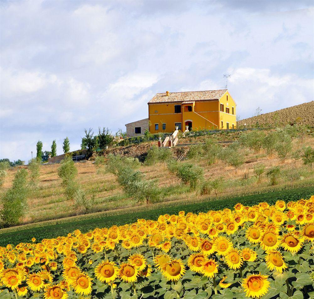 Villa Scuderi Recanati Exterior foto